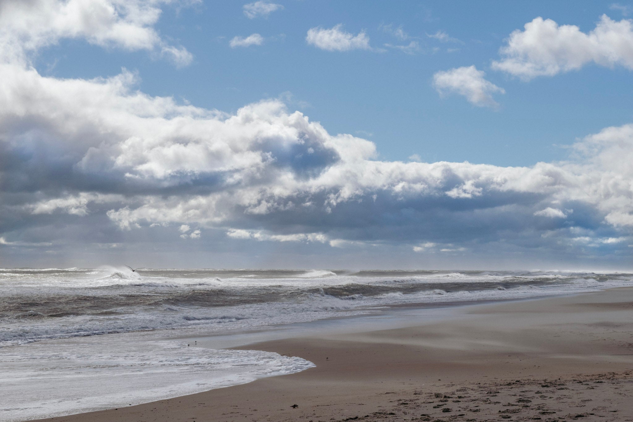 Photo of the beach from a fishing trip at outerbanks on a beautiful day