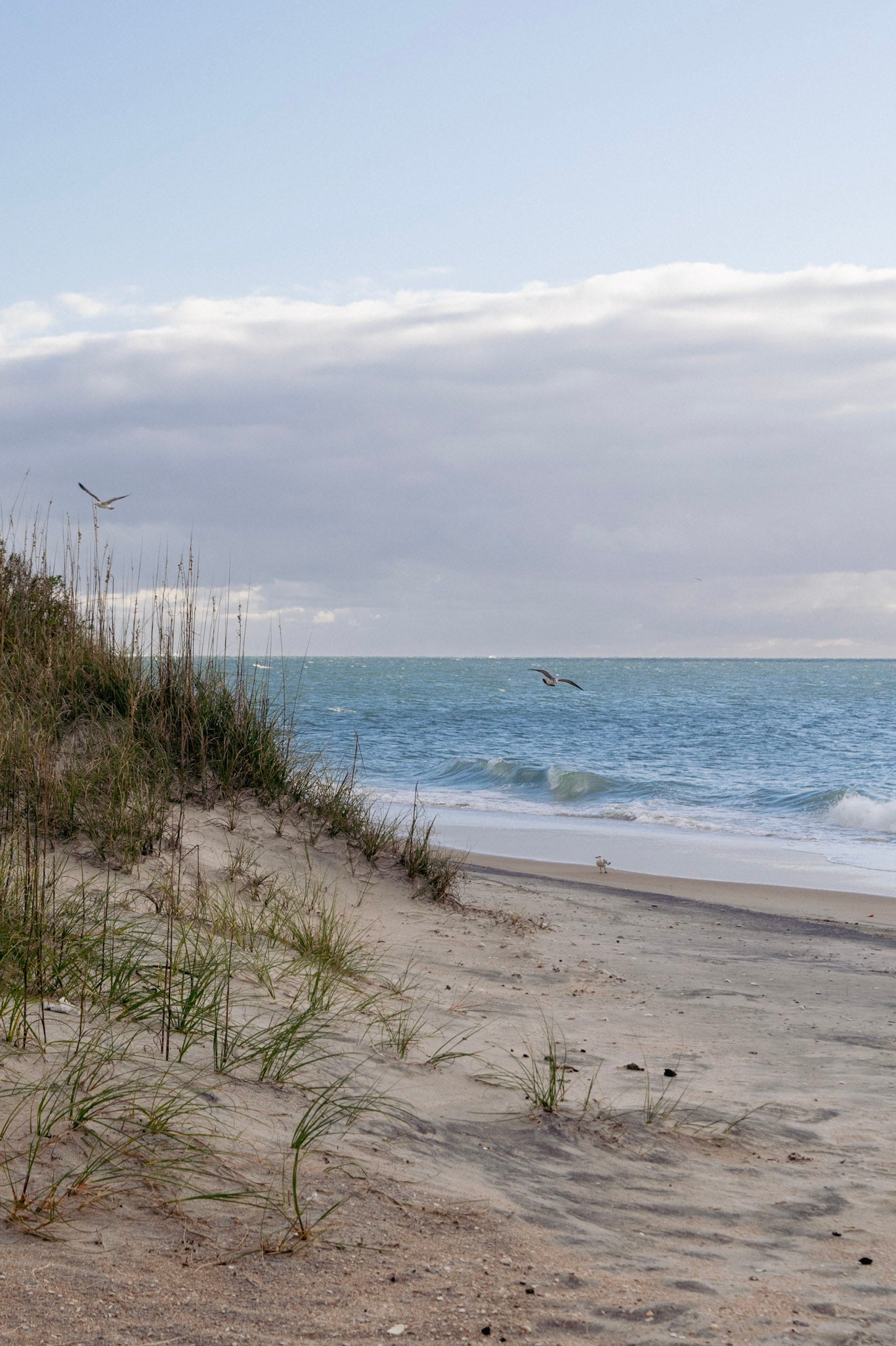 Dunes Long Sleeve Tee - shirt - cotton - sand dunes - outerbanks - north carolina - obx - Calo